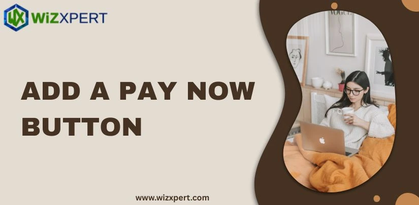 Add a pay now button Img