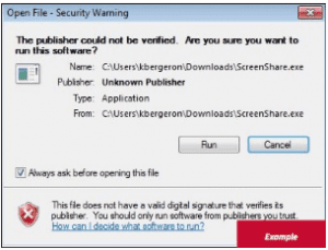 click Run after you get a security warning on your screen