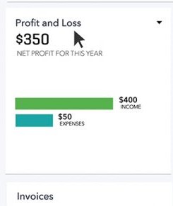 Profit & Loss