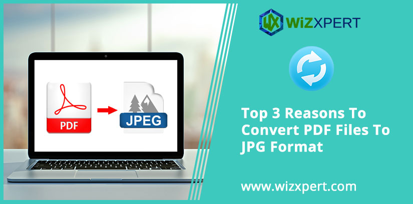 Top 3 Reasons To Convert PDF Files To JPG Format