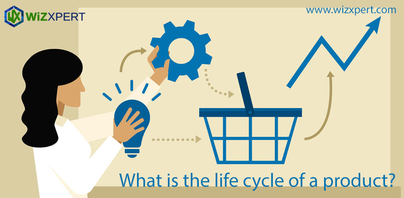 What is the life cycle of a product