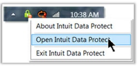 Open Intuit Data Protect