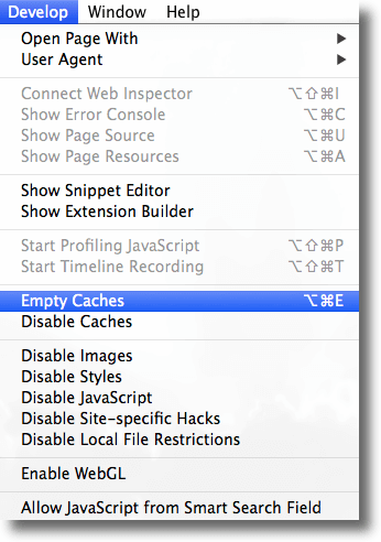 Empty Caches to remove data (Safari) 