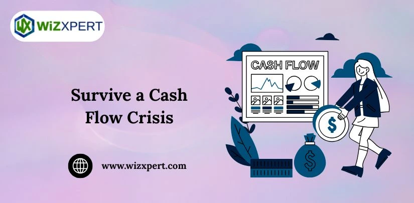 Survive a Cash Flow Crisis img