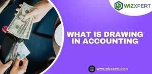 What is Drawing in Accounting img