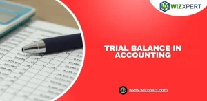 trial balance in accounting img