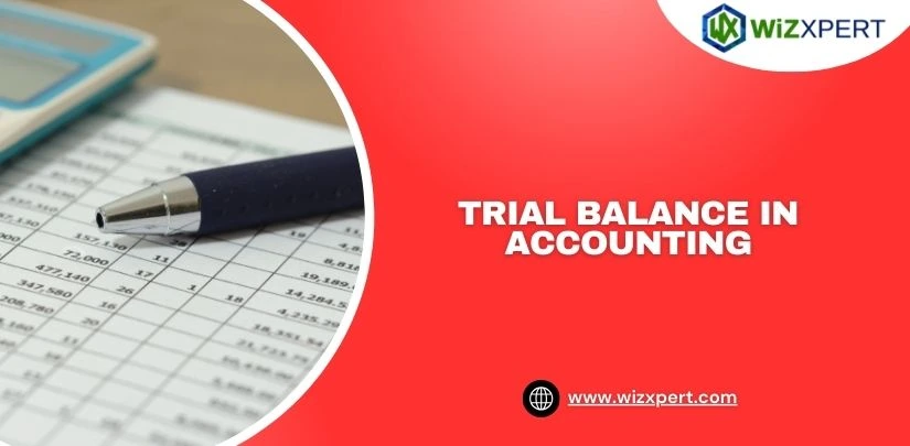 trial balance in accounting img