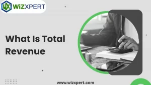 What Is Total Revenue Img