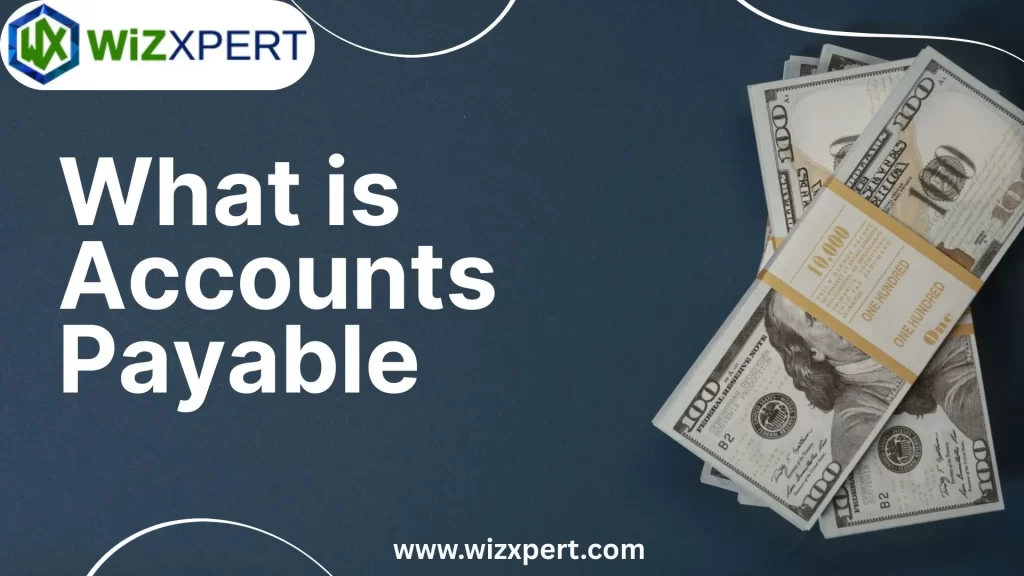 What is Accounts Payable Img