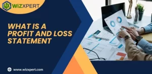 what is a profit and loss statement Img