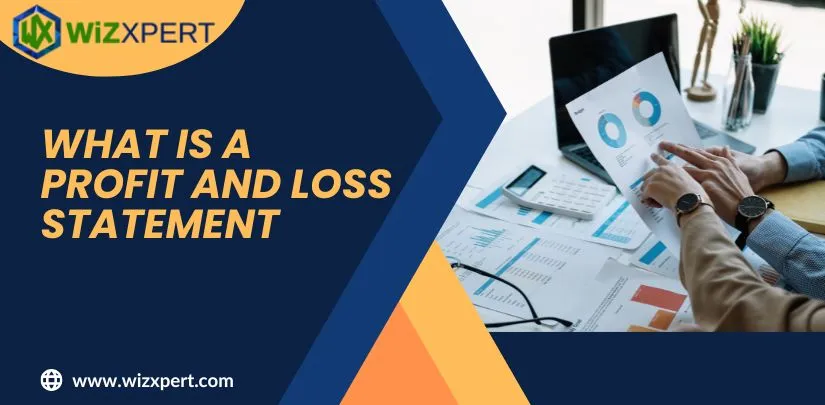 what is a profit and loss statement Img